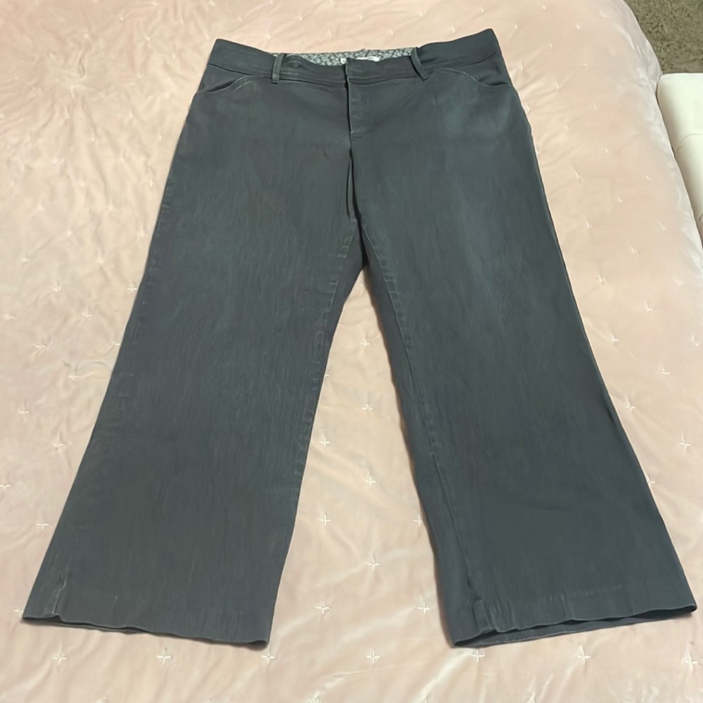 Lee Gray Brushed Cotton Pants